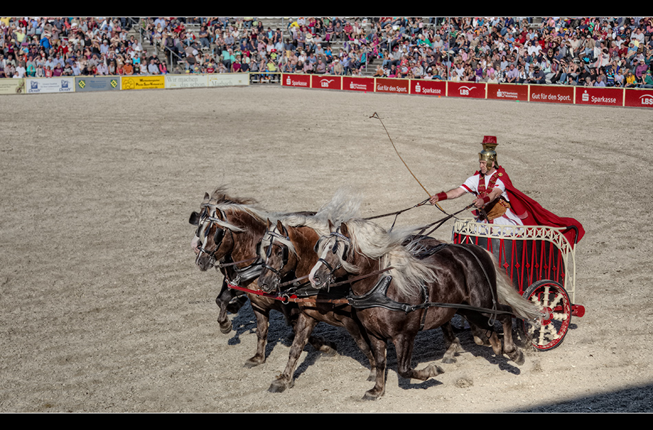 Hengstparade in Marbach 9