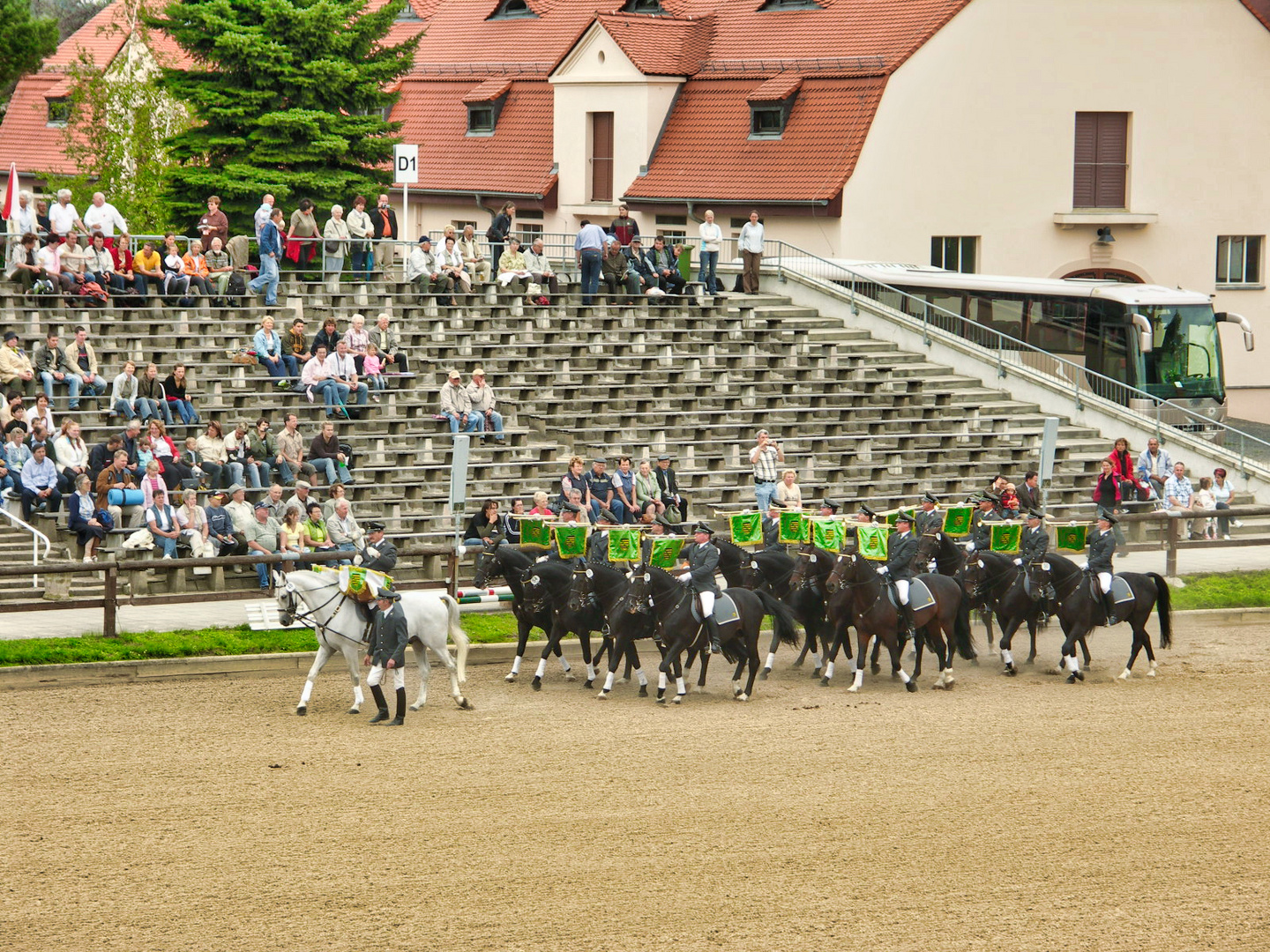 Hengstparade Moritzburg