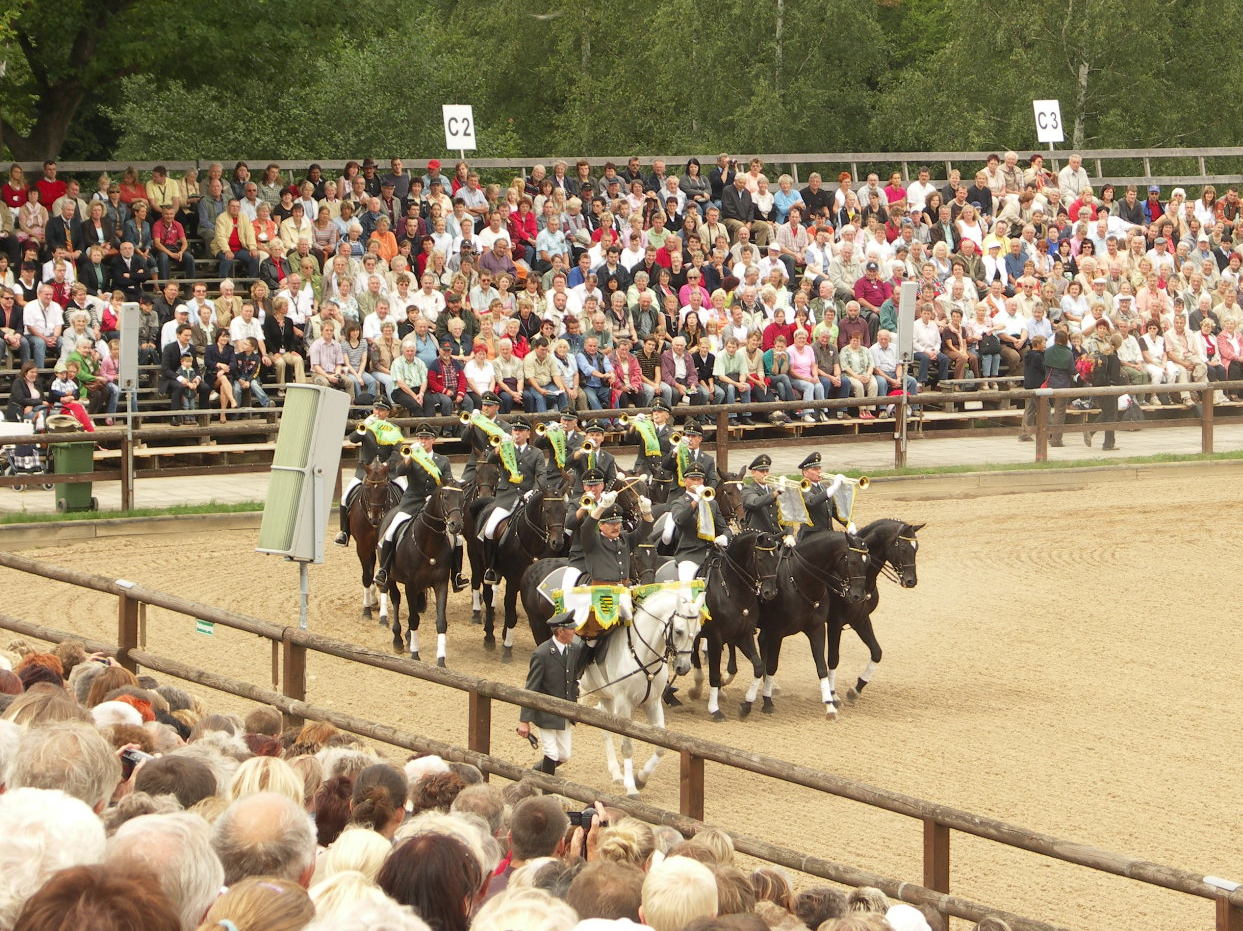 Hengstparade Moritzburg