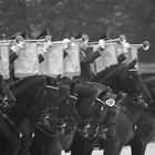 Hengstparade Moritzburg 2014 3/3