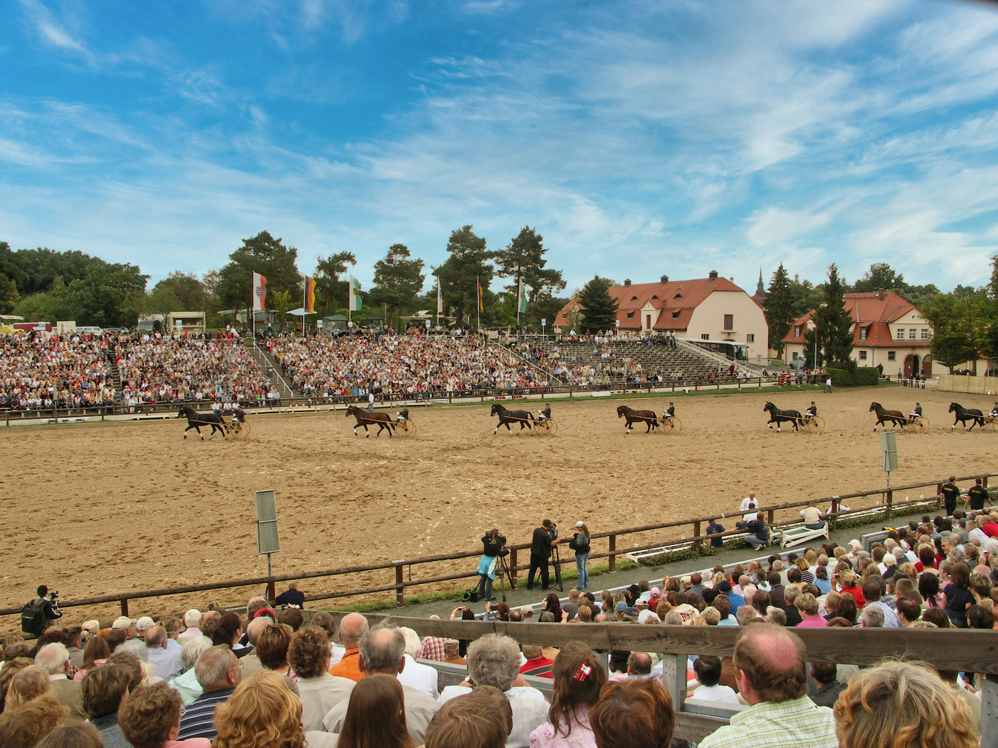 Hengstparade Moritzburg