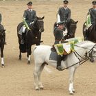 Hengstparade Moritzburg