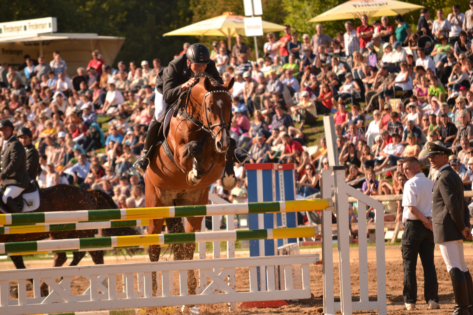 Hengstparade Moritzburg Springen