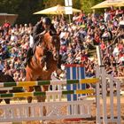 Hengstparade Moritzburg Springen