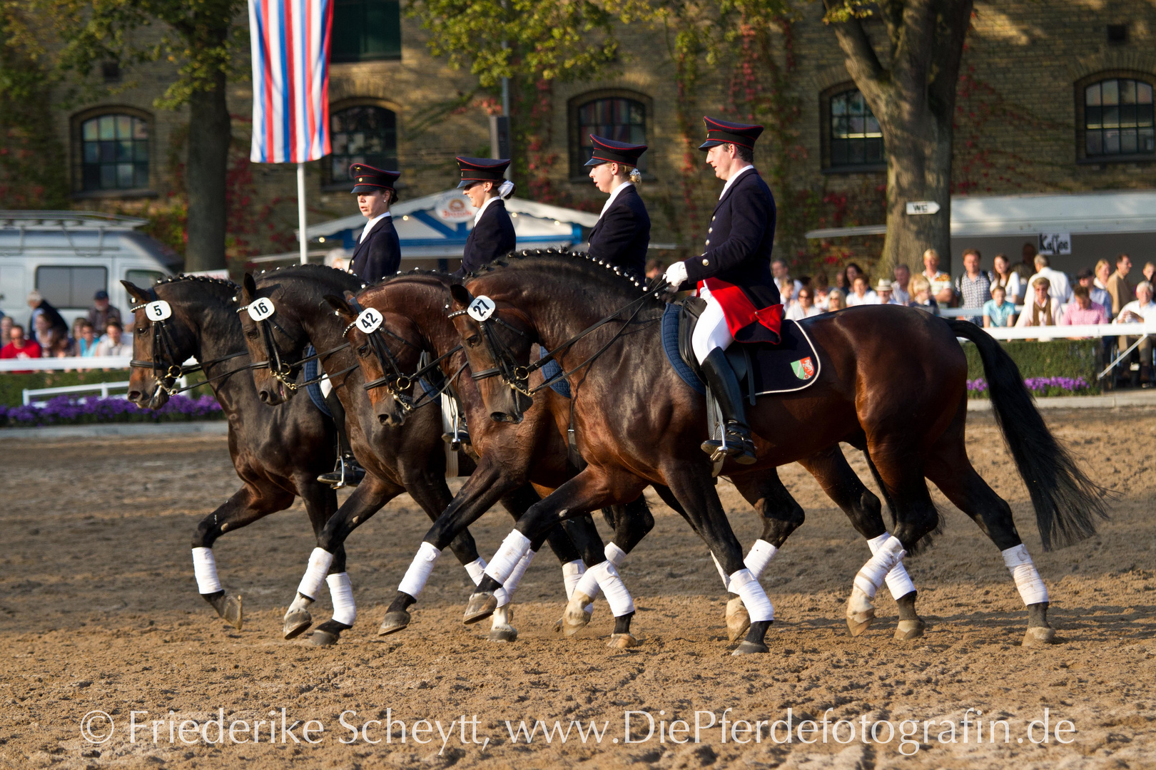 Hengstparade Warendorf 2011