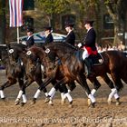 Hengstparade Warendorf 2011