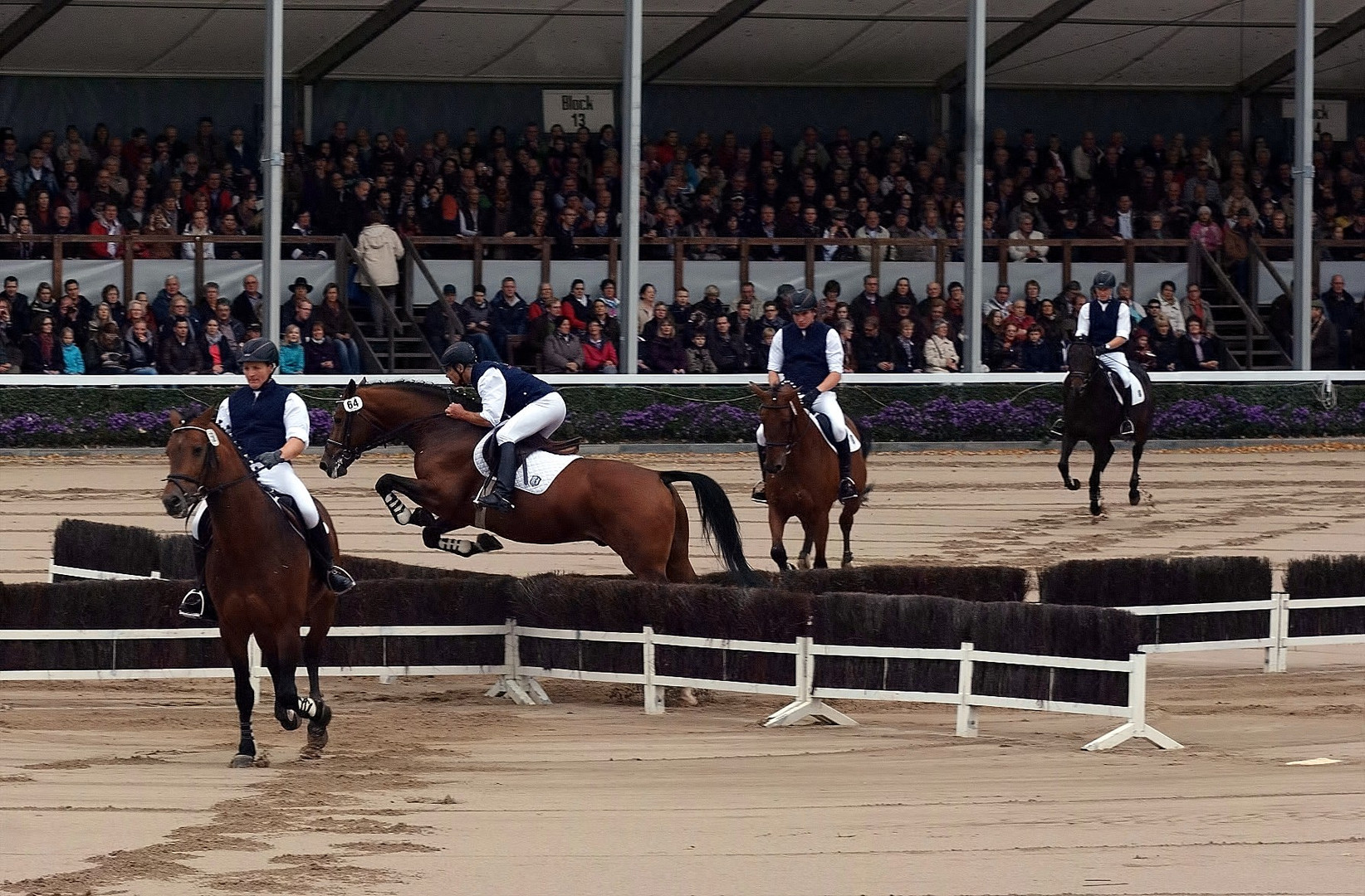 Hengstparade Warendorf 2012