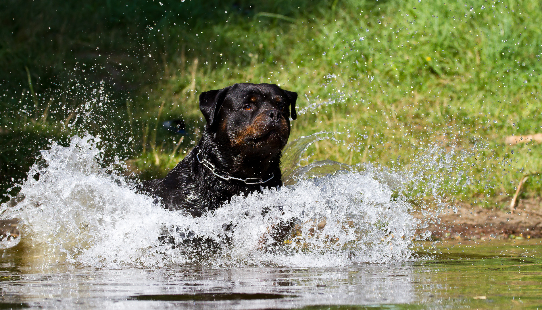 Henk am See