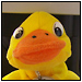 User Profile Photo
