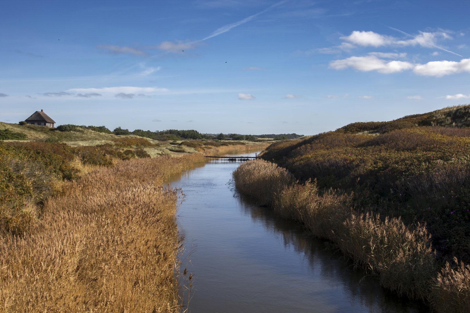 Henne Mølle