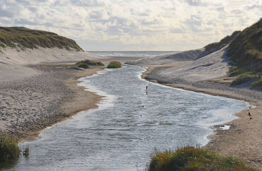 Henne Mølle Å, Dänemark