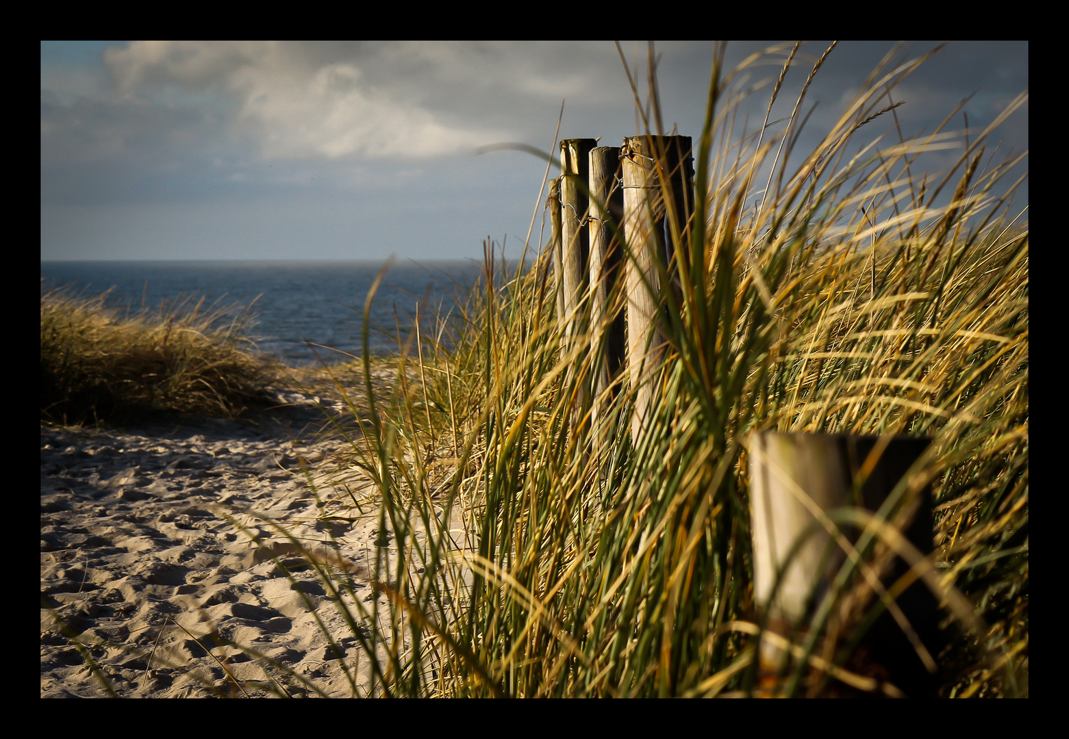 Henne Strand 2011