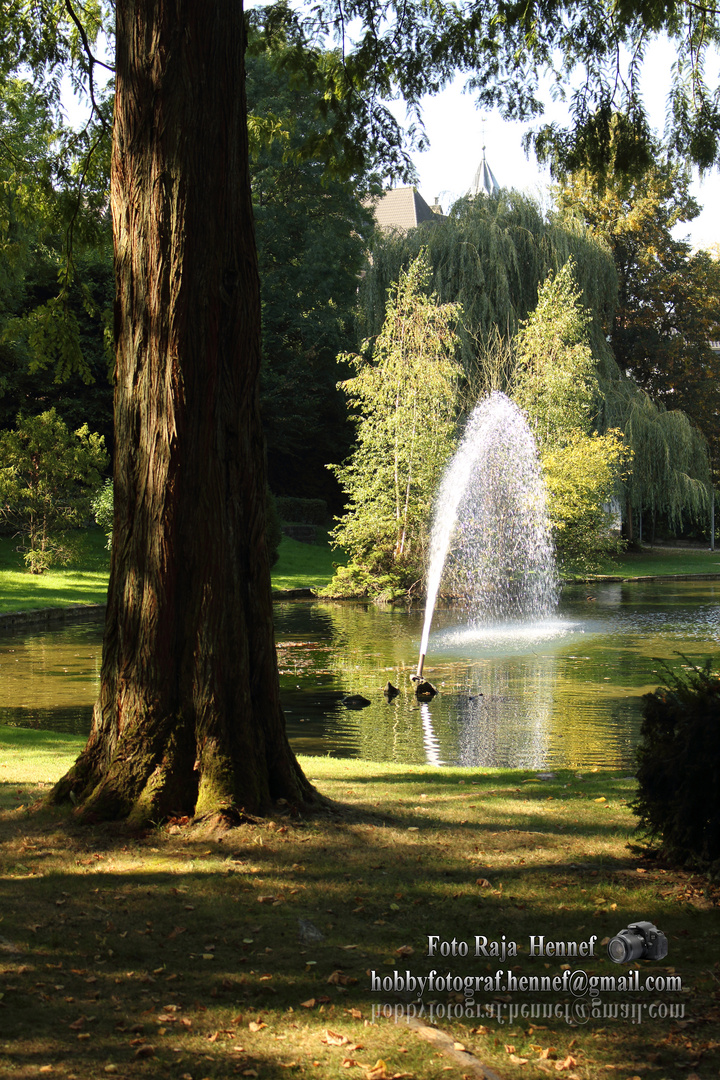 Hennef, Kurpark