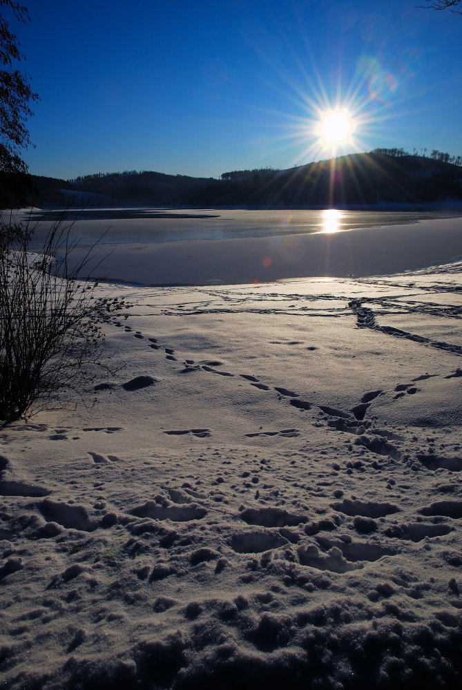 Hennesee