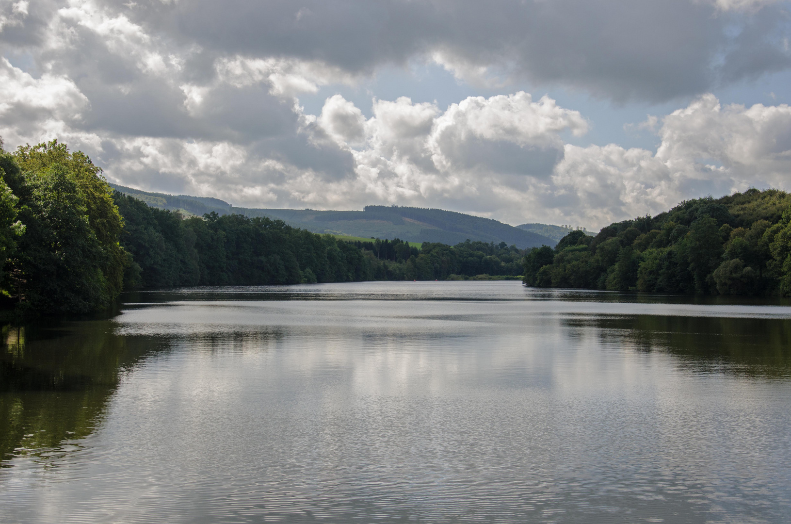 Hennesee