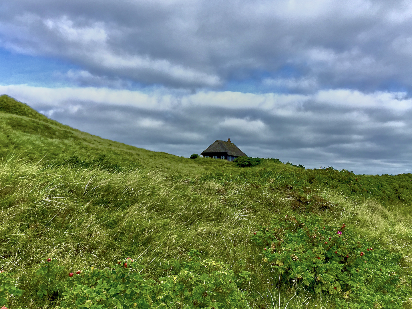 hennestrand / nordsee