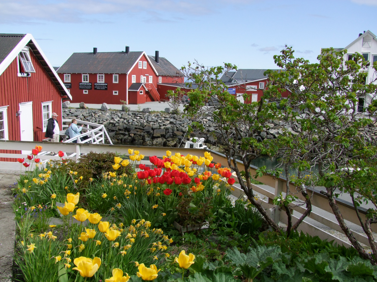 Henningsvaer auf den Lofoten