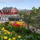 Henningsvaer auf den Lofoten