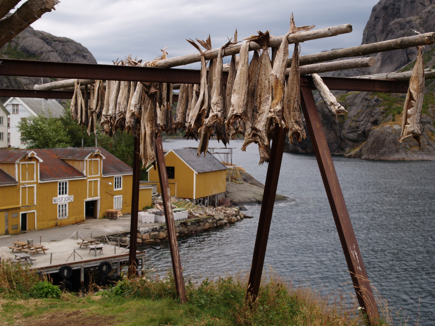 Henningsvaer.  P8220376