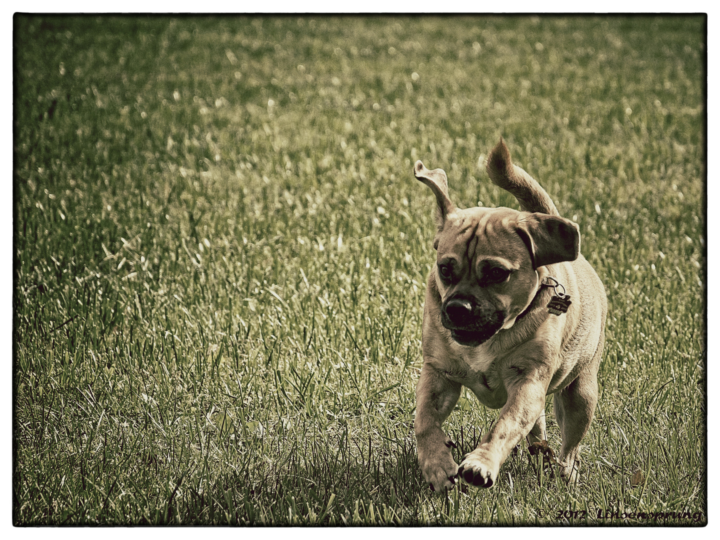 Henri on the run