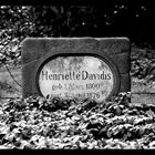 Henriette Davidis