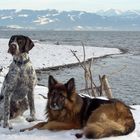 henry und idora am bodensee