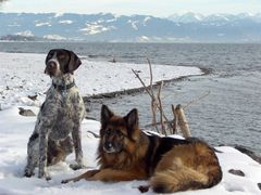 henry und idora am bodensee