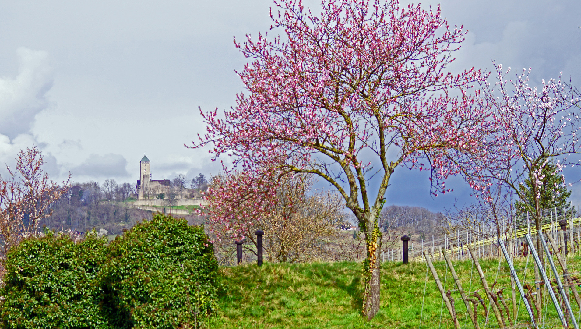 Heppenheim Eckweg