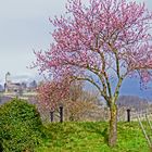 Heppenheim Eckweg