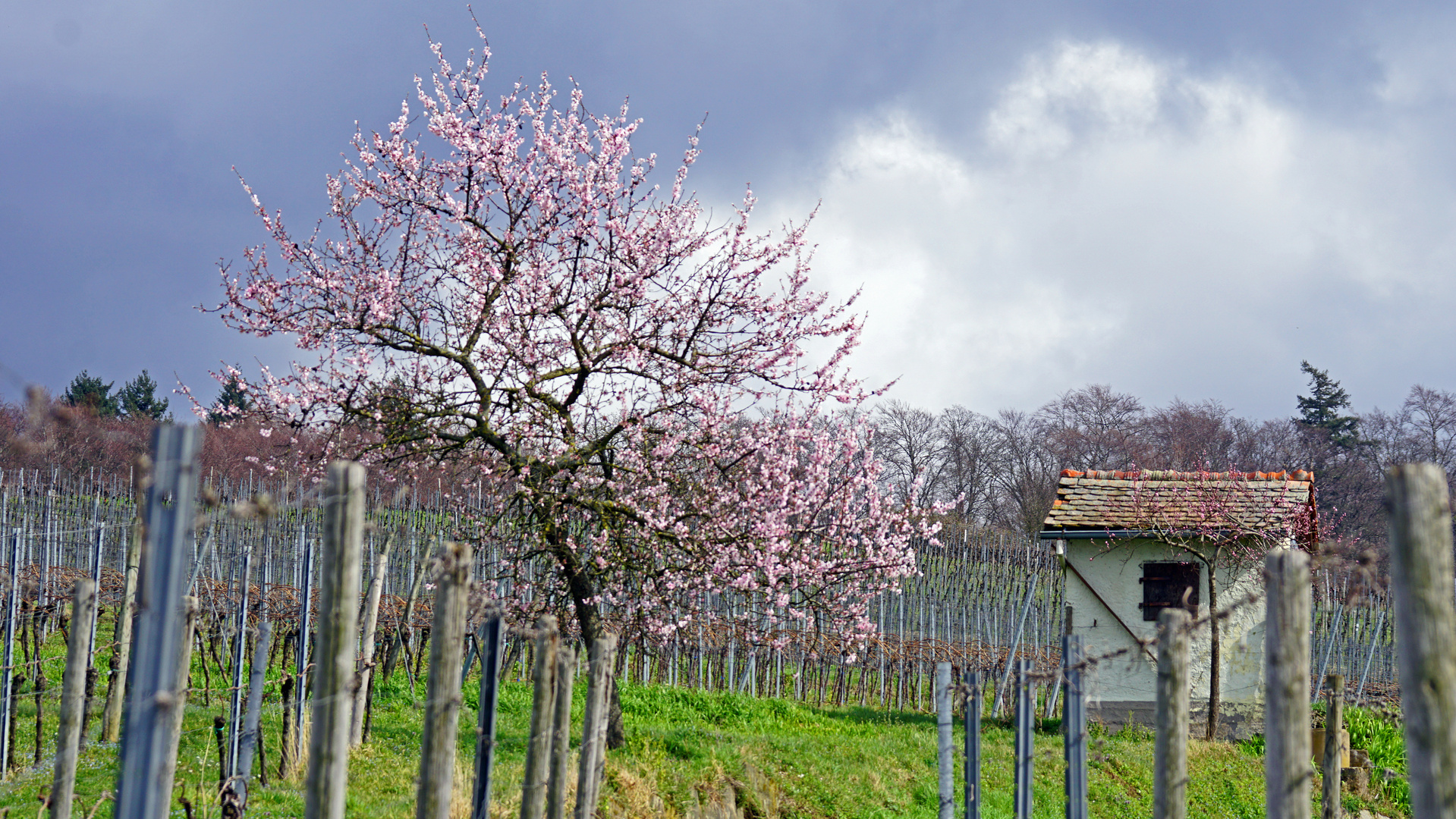 Heppenheim Eckweg