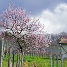 Heppenheim Eckweg