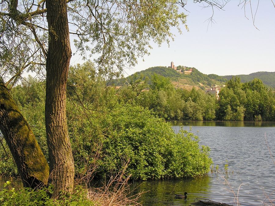 Heppenheim - See & Burg & eine Ente