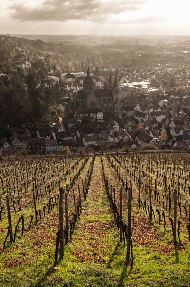 Heppenheim - Spätherbst trifft Aprilwetter (2)