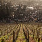 Heppenheim - Spätherbst trifft Aprilwetter (2)