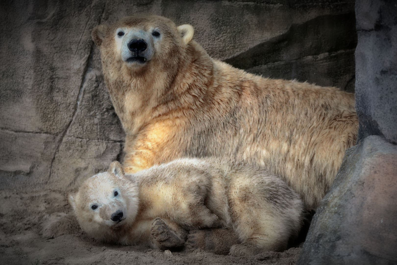 HER CUTENESS, loving mum