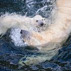 HER CUTENESS, swimming with mum