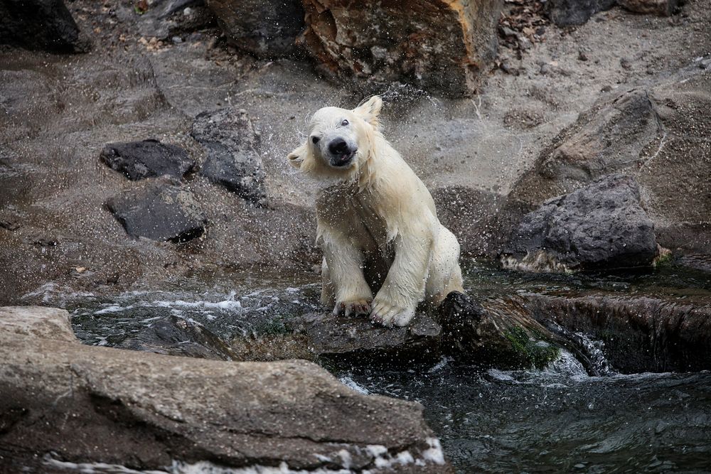 HER CUTENESS, the little water lover