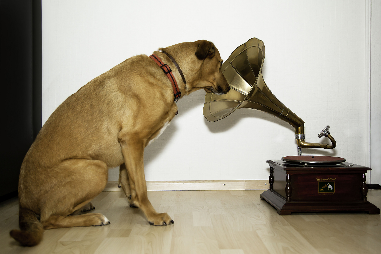 Her Master's Voice