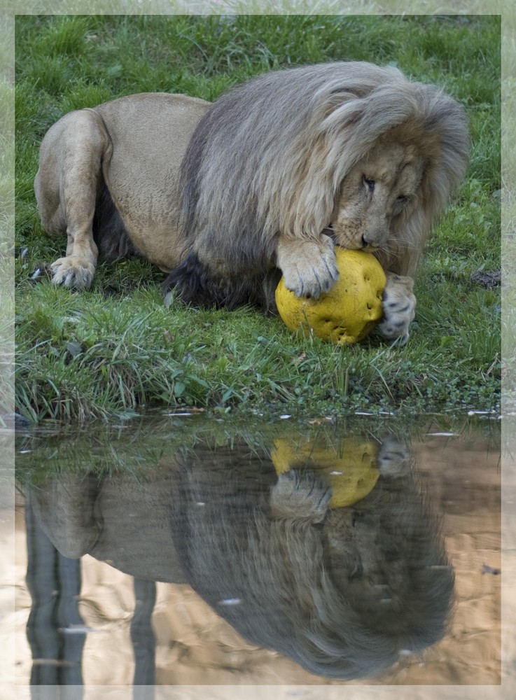 Her mit dem Ball...