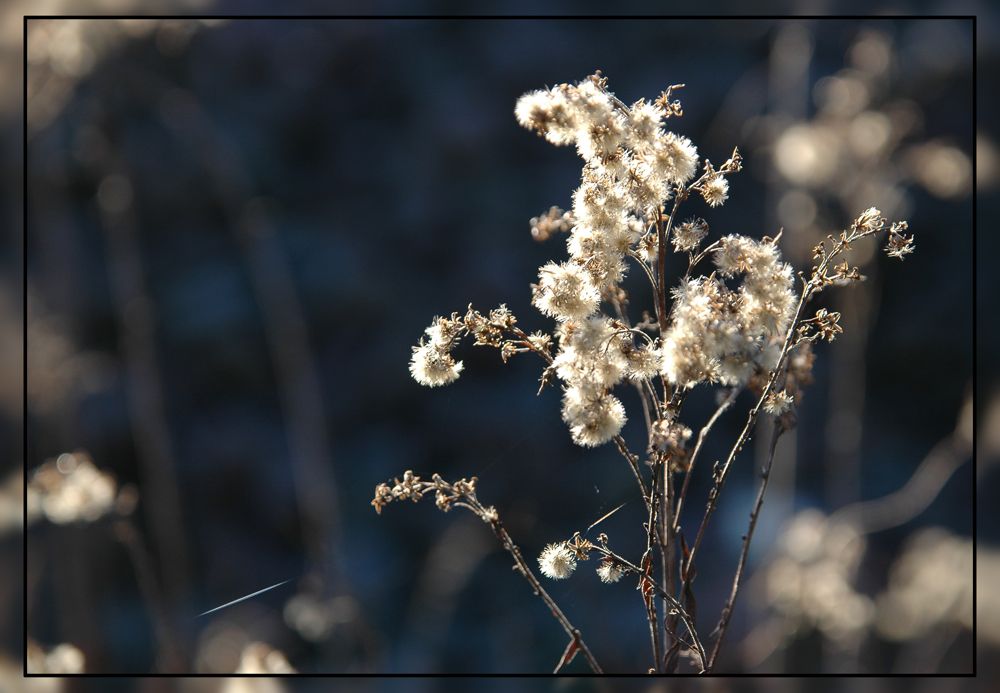 "her mit dem frühling"