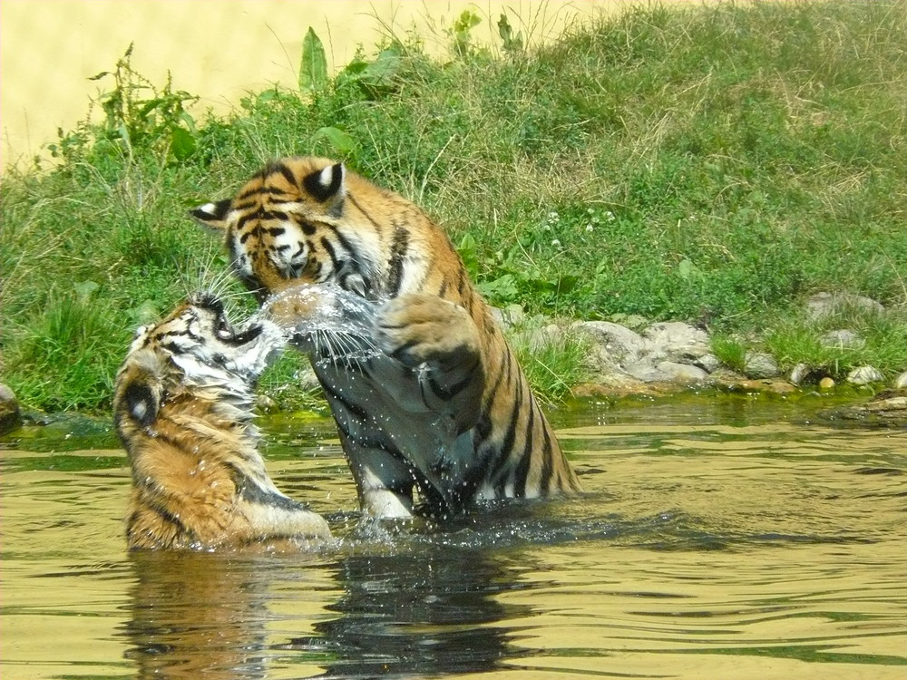 Her mit dem Wasser