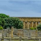 HERA TEMPEL PAESTUM