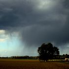 Heranziehende Regenwolke am Oberrhein