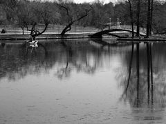 Herastrau-Park