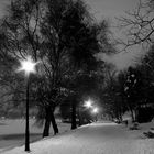 Herastrau park , Bucharest