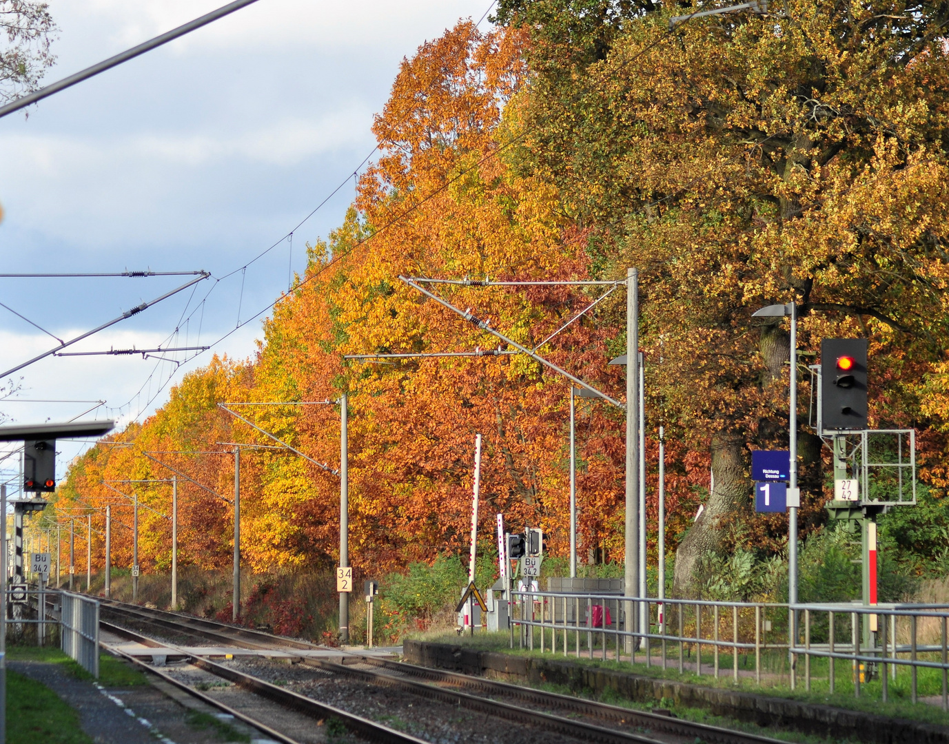 Herbastlandschaft an der Eisenbahnstrecke in Richtung Dessau