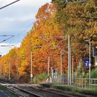 Herbastlandschaft an der Eisenbahnstrecke in Richtung Dessau