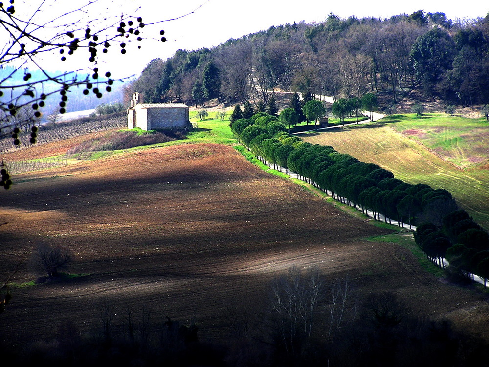 Herbe crete - Die sanften Hügel der Toskana bei Colle di Val d' Elsa