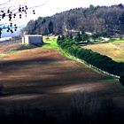 Herbe crete - Die sanften Hügel der Toskana bei Colle di Val d' Elsa