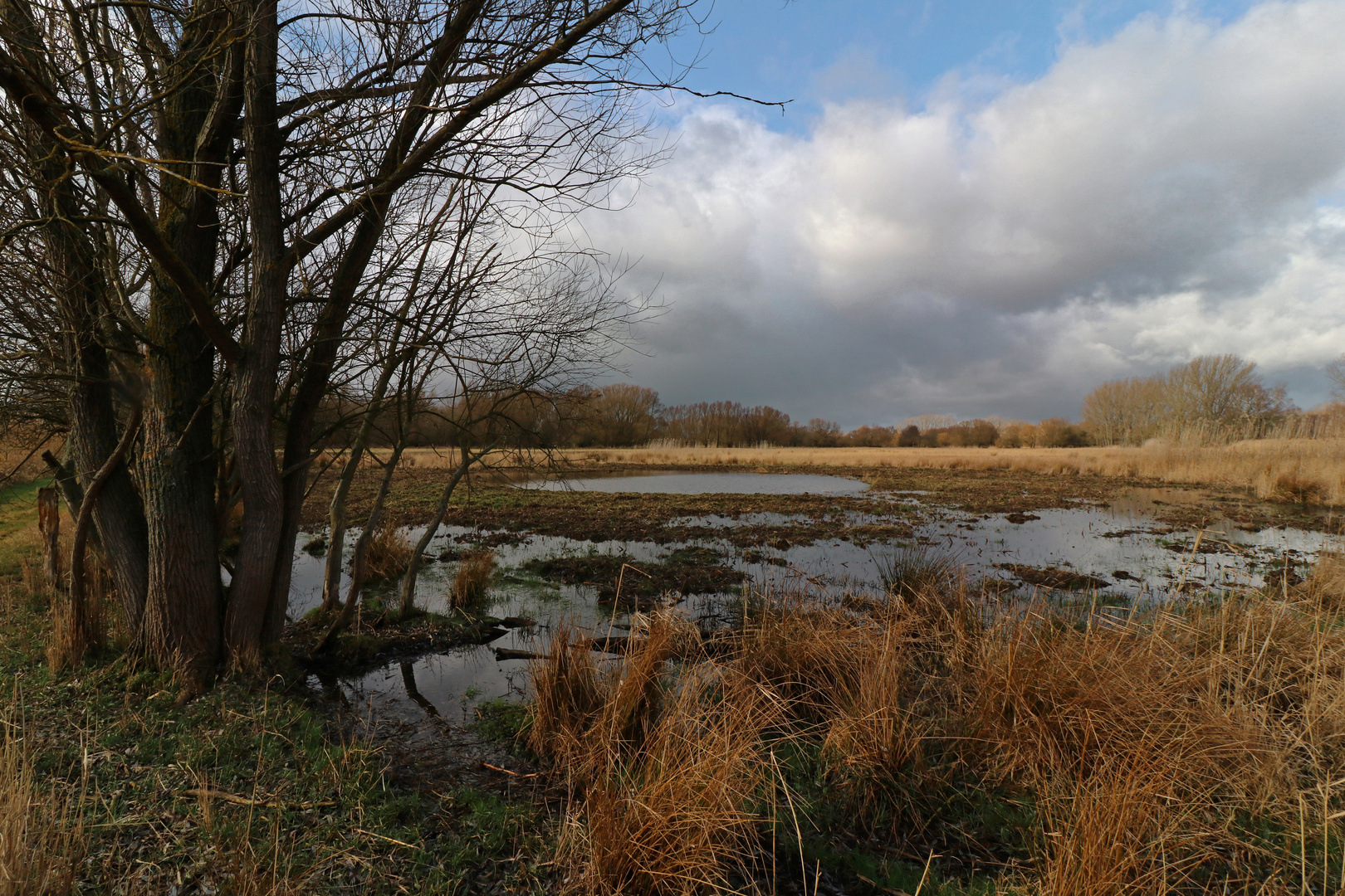 Herbe Landschaft